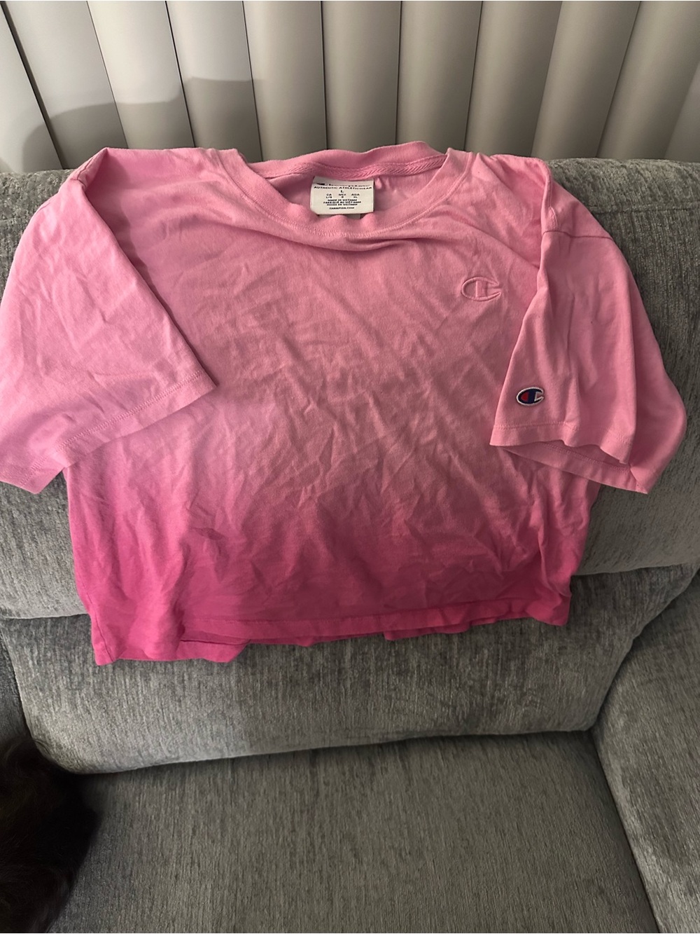 Champion Pink Ombre T-Shirt